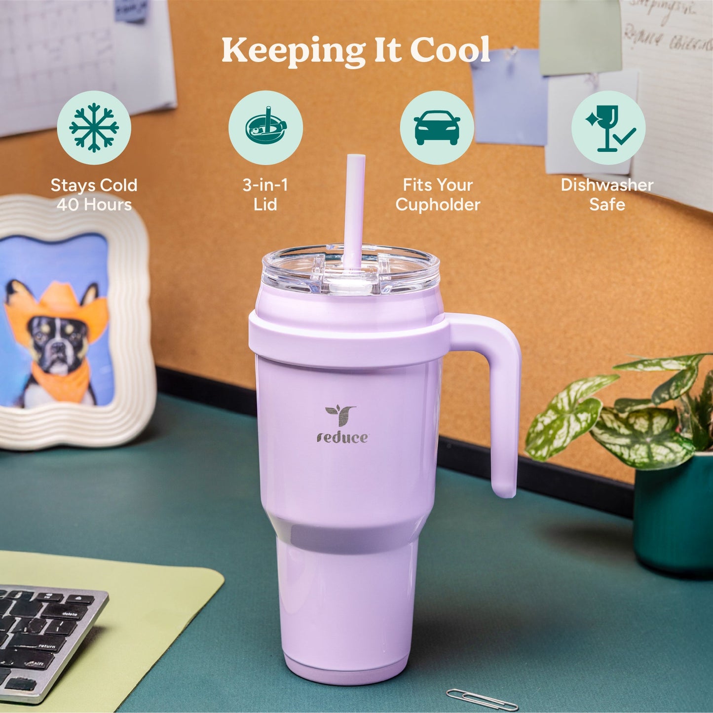 cold1-40-oz-c6 Cold1_40oz_DarkWeb_Infographic_1.jpg