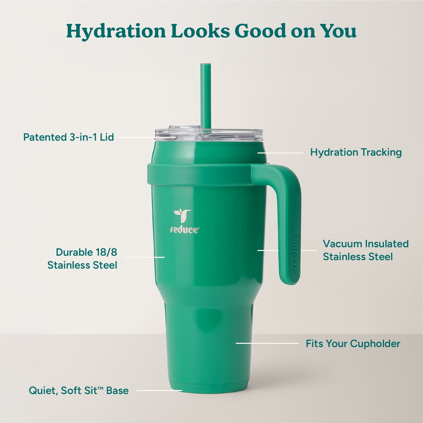 cold1-40-oz-c6 Cold1_40oz_PalmLeaf_Infographic_2.jpg