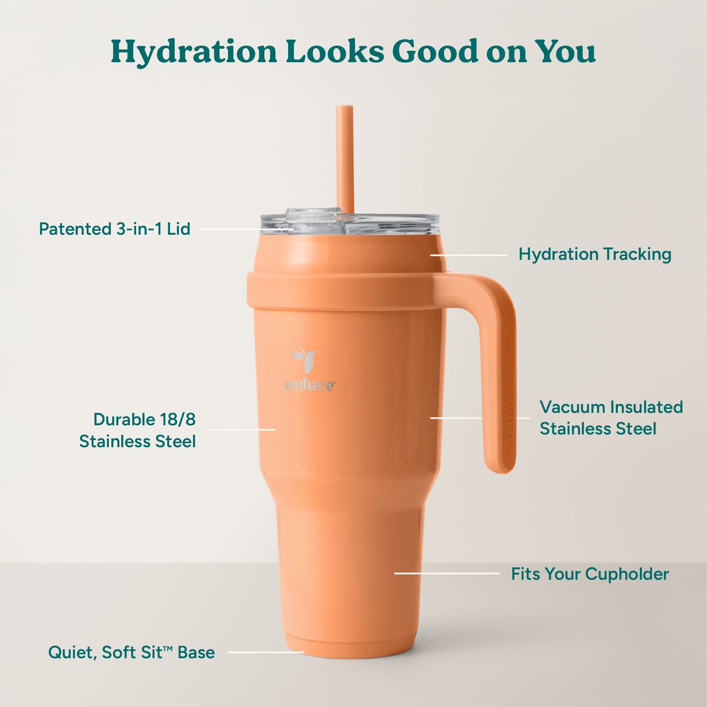 cold1-40-oz-c6 Cold1_40oz_Papaya_Infographic_2.jpg