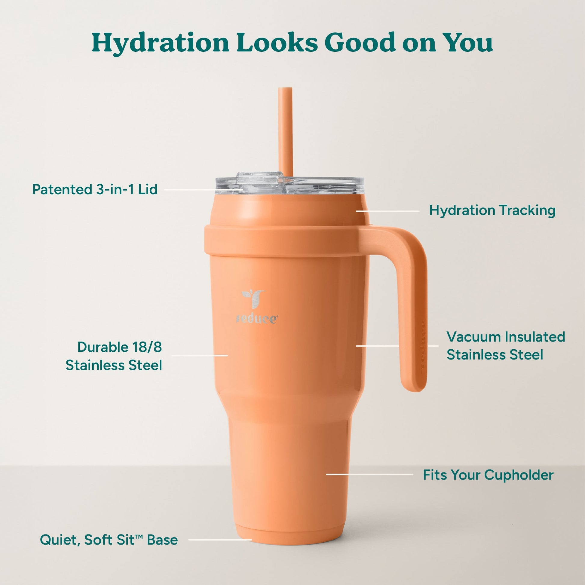 cold1-40-oz-c6 Cold1_40oz_Papaya_Infographic_2.jpg