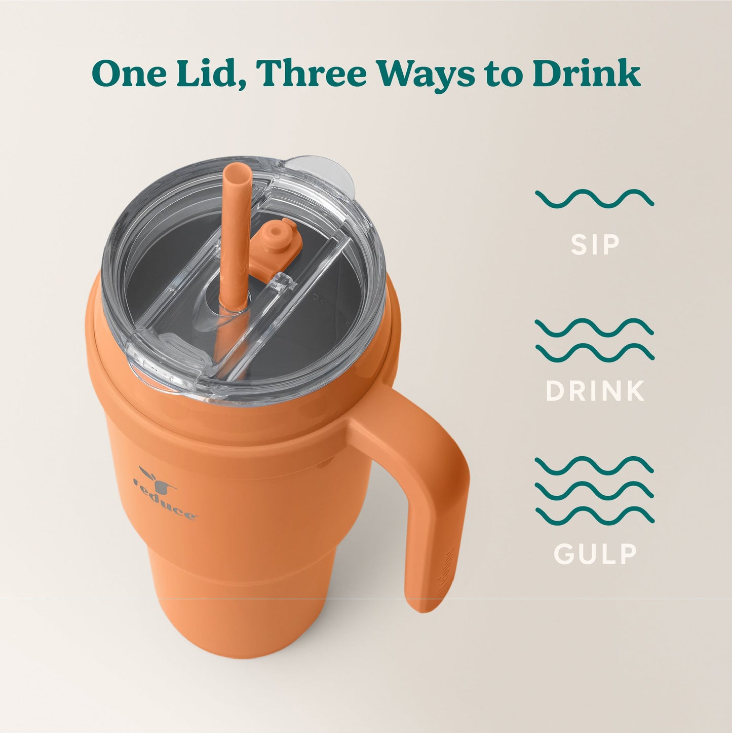 cold1-40-oz-c6 Cold1_40oz_Papaya_Infographic_3.jpg