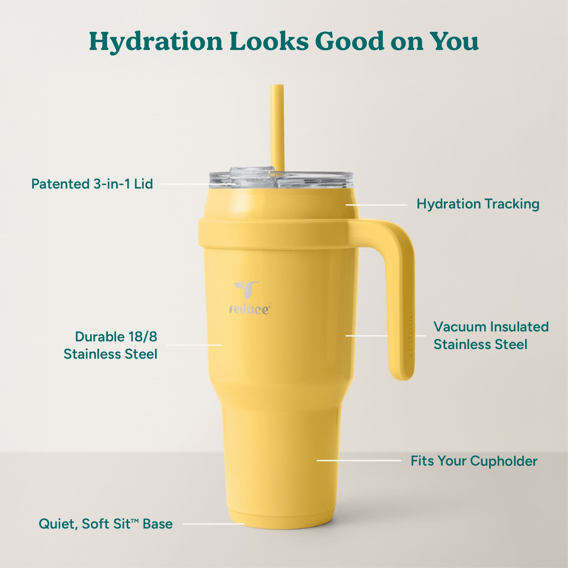 cold1-40-oz-c6 Cold1_40oz_Pineapple_Infographic_2.jpg